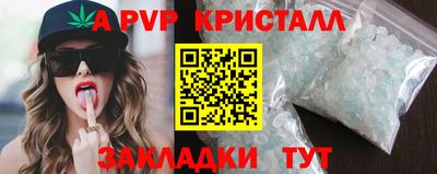 СК Хасавюрт