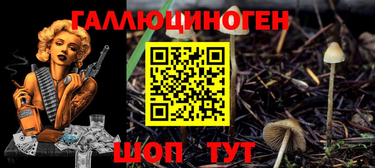 Галлюциногенные грибы Cubensis  Псилоцибиновые грибы GOLDEN TEACHER  наркота  Белая Калитва  Вход с VPN 
