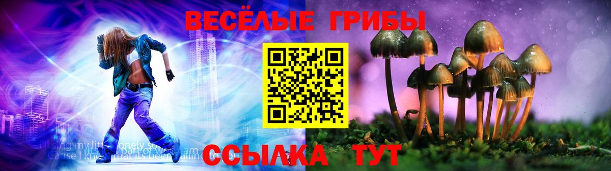 Псилоцибиновые грибы мицелий Белая Калитва